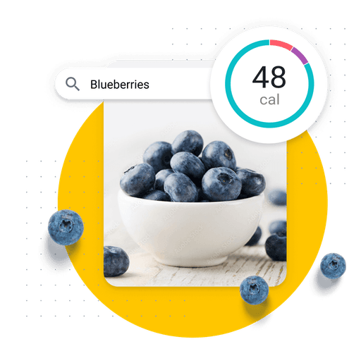 Suivi alimentaire